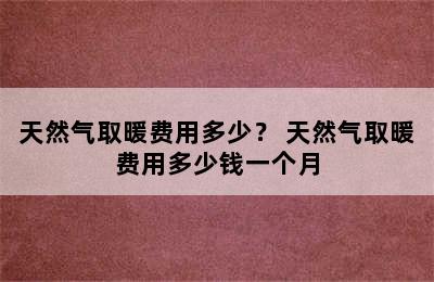 天然气取暖费用多少？ 天然气取暖费用多少钱一个月